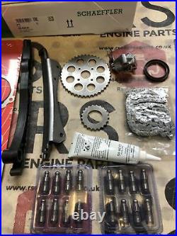 INA 559002830 Timing Chain Kit 1.3 DIESEL MULTIJET AND 16 ROCKER ARMS 16 LIFTERS