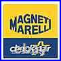Marelli Magnets 571822112017